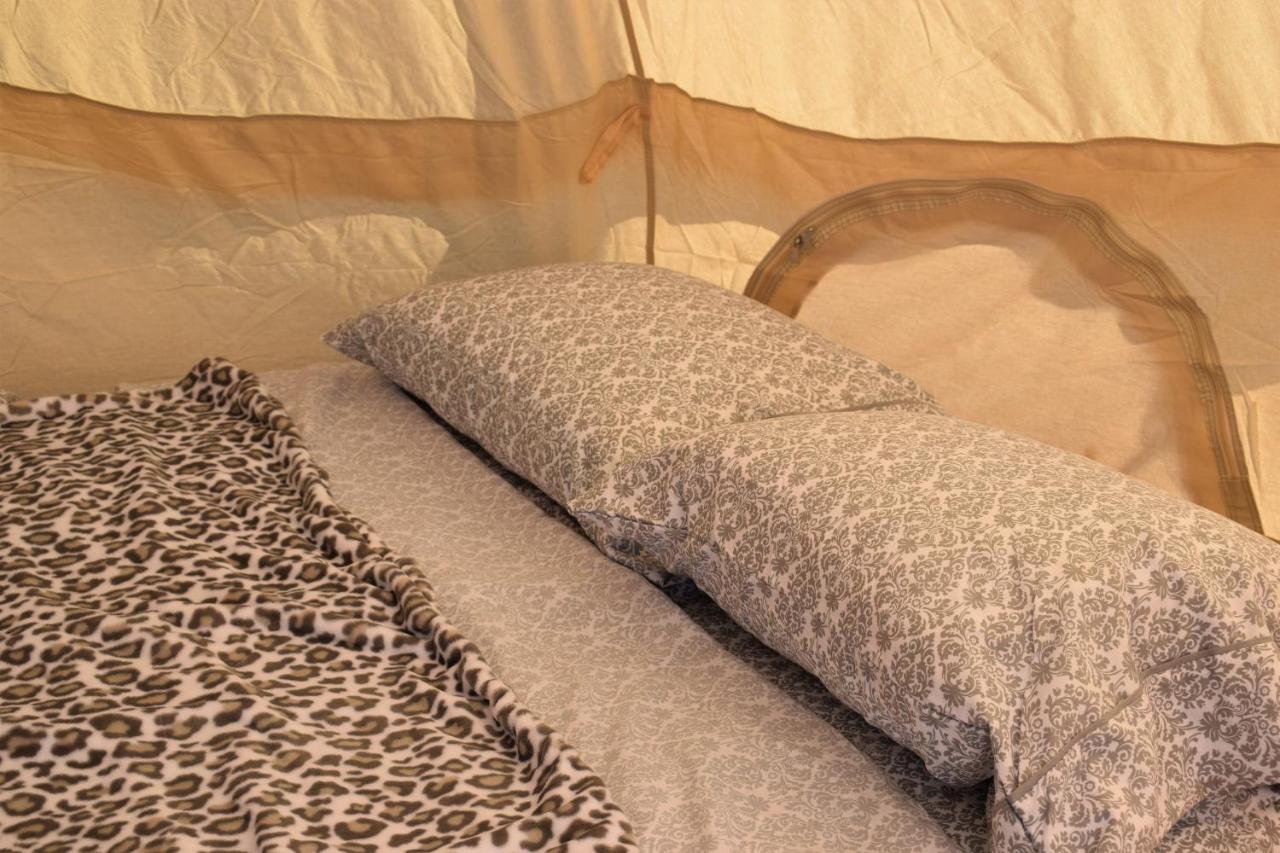 Starlight Tent 1 Holbrook Bagian luar foto